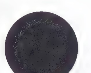 A small black sphere standing for a collapsed star.