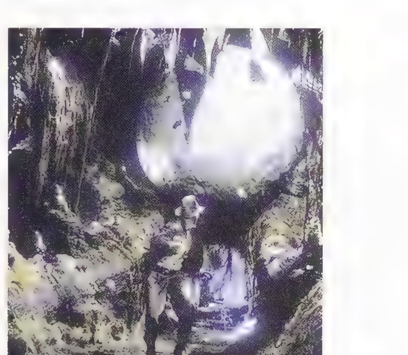 Movie still: a man running through a dark cave as a huge glowing boulder rolls behind him.