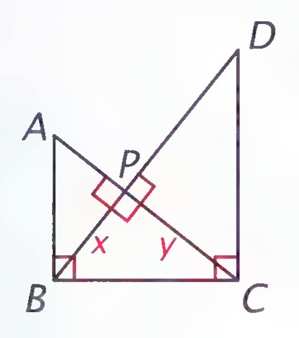 A right-angle figure with points A, B, C, D, P, and Q: AB perpendicular to BC, BC perpendicular to CD, and AC perpendicular to BD, with segments x and y marked.