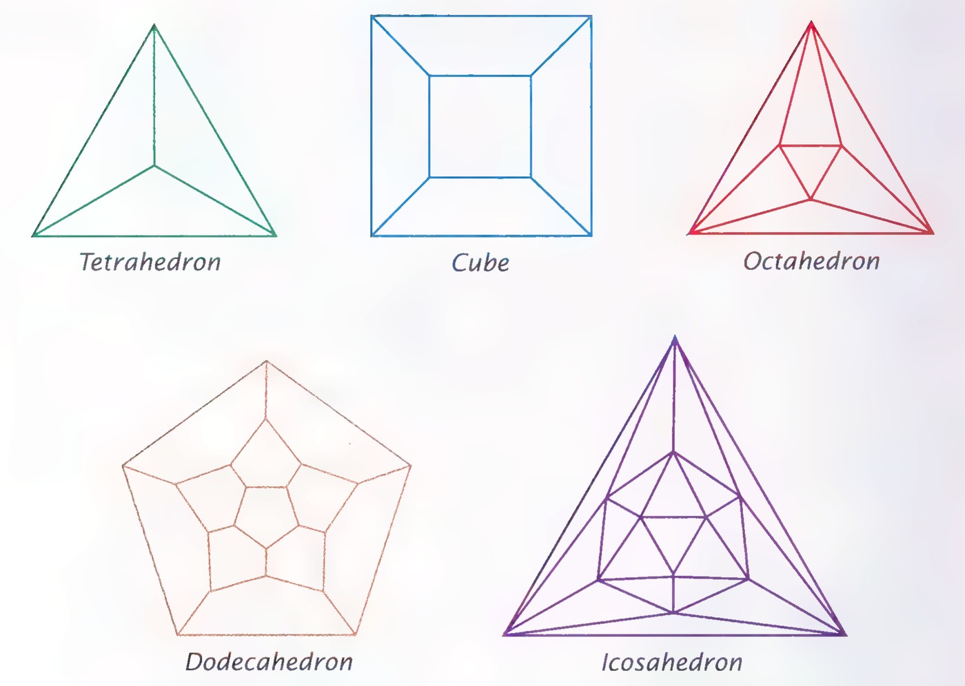 Schlegel diagrams of the five regular polyhedra, each colored differently and labeled Tetrahedron, Cube, Octahedron, Dodecahedron, and Icosahedron.