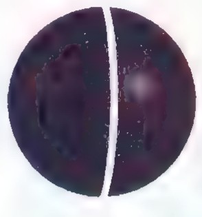 A bowling ball resting on a painted line on a floor.