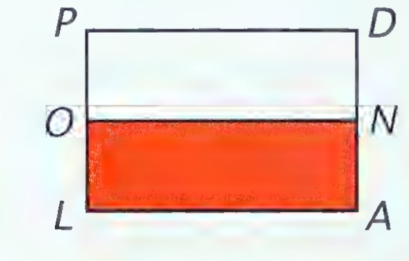 A rectangle divided horizontally into two equal parts, labeled P, L, D, and A at its corners, with O the midpoint of PL and N the midpoint of DA.