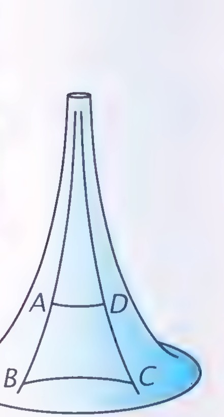 A Saccheri quadrilateral ABCD drawn on a pseudosphere.