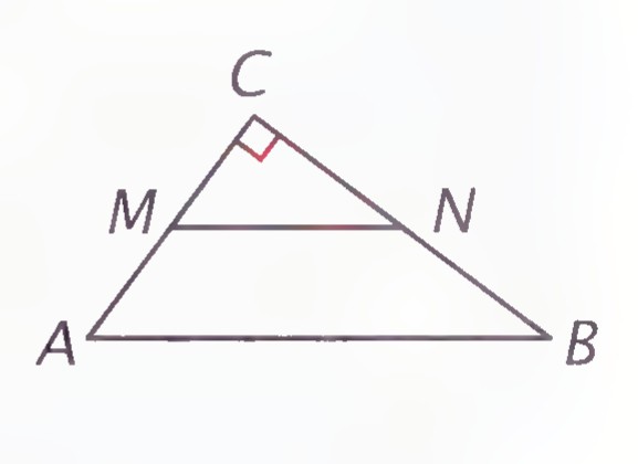 Right triangle ABC with right angle at C and midsegment MN.