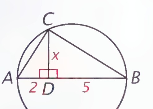 A circle with diameter AB; C is a point on the circle, CD is perpendicular to AB, AD = 2, DB = 5, and CD = x.