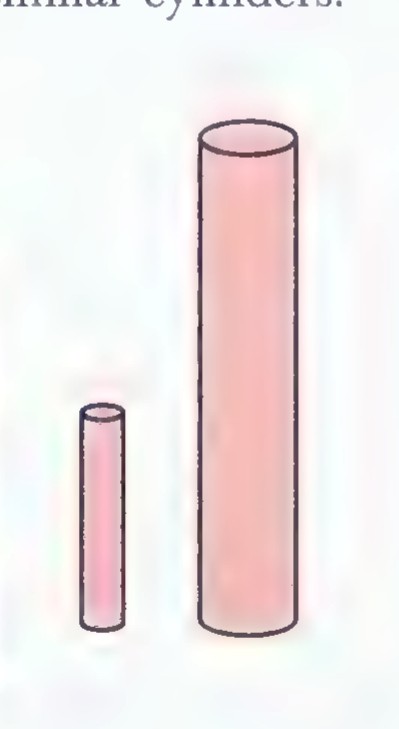 Two similar cylinders of very different heights, representing the trunks of two trees.