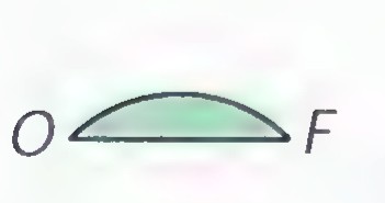 A circular segment from O to F.