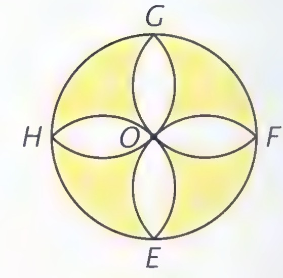 The same four petals drawn without the surrounding circle.