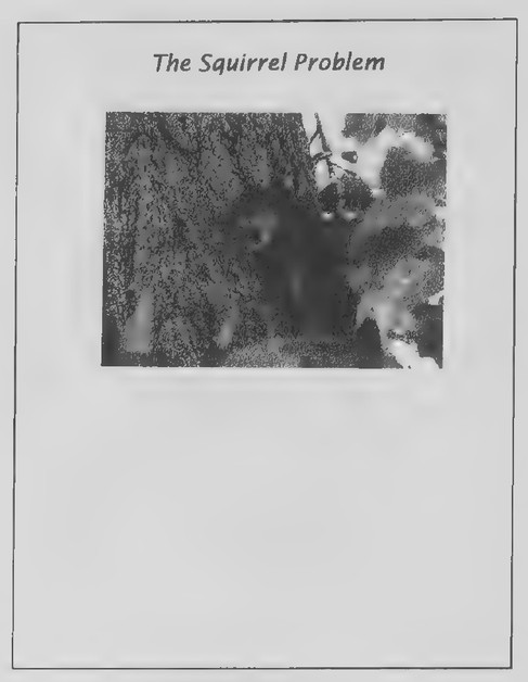 Transparency 2-2-3: The squirrel problem