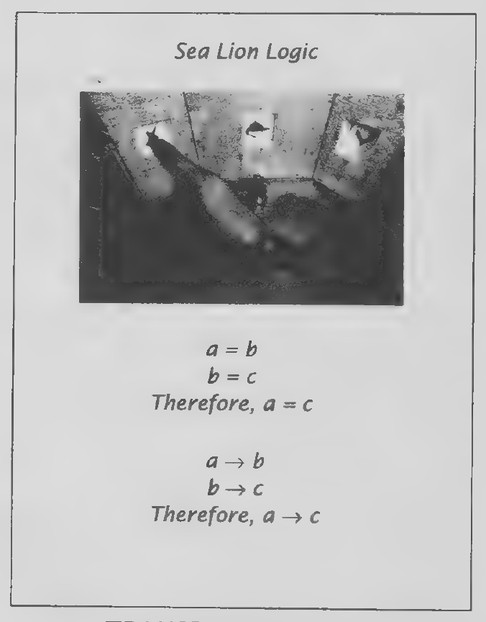 Transparency 2-4-1: Sea lion solving logic problem