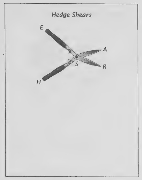 Transparency 3-6-3: Hedge shears (Set II, Exs. 40-43)