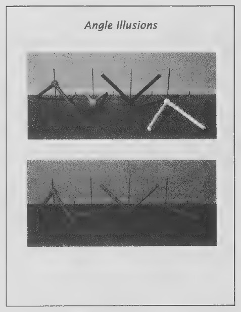 Transparency 3-7-1: Angle illusions