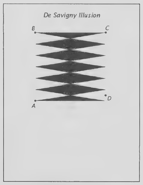 Transparency 5-1-1: De Savigny illusion