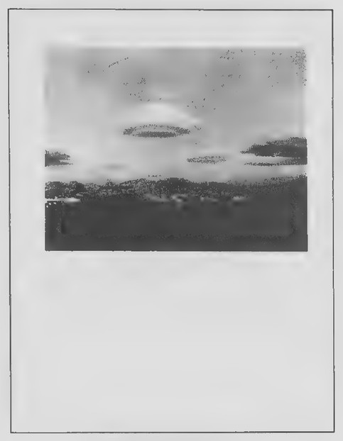 Transparency 5-2-1: A photograph of a UFO?
