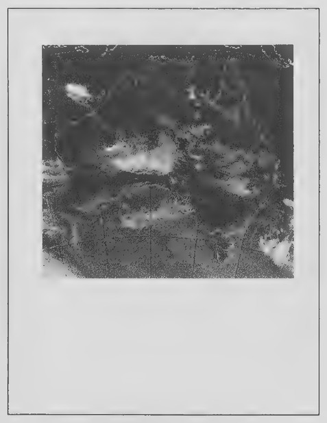 Transparency 5-R-1: Satellite photo of Australia