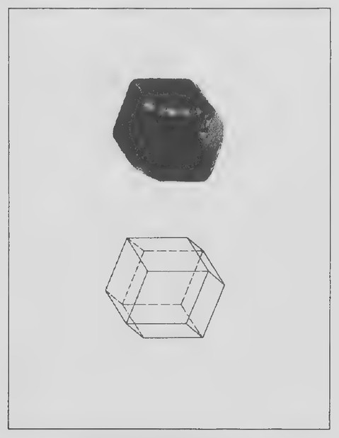 Transparency 7-R-1