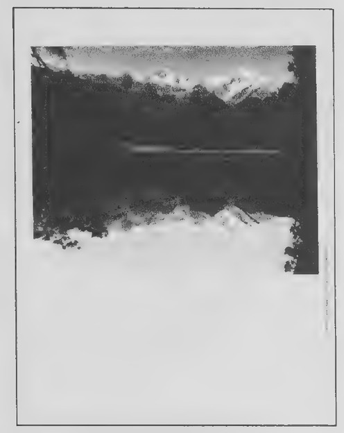 Transparency 8-2-1: Reflection in a lake