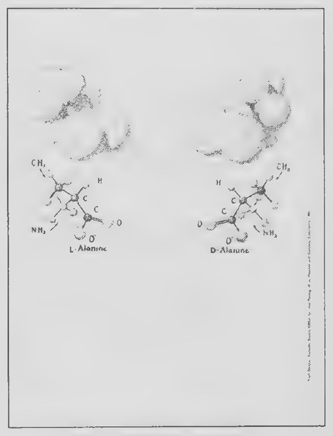 Transparency 8-3-2: Alanine stereoisomers