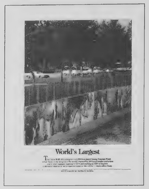 Transparency 9-2-2: World’s longest mural