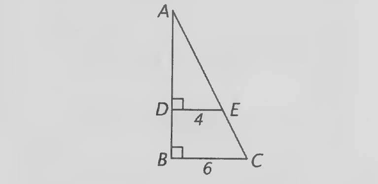 Figure on page 356 — Leonardo da Vinci’s proof diagram: triangle ABC with the perpendiculars and auxiliary segments labelled