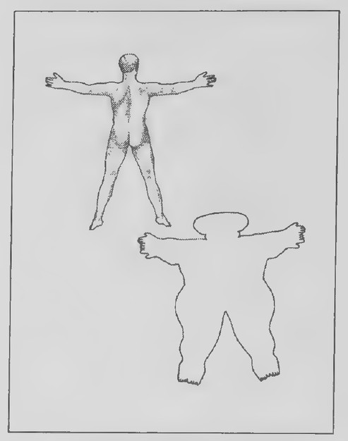 Transparency 9-R-3: The area of a human being