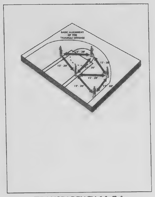 Transparency 11-7-1: The triangle offense