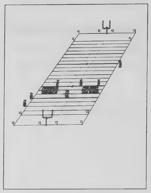 Transparency 12-4-2: Football field diagram