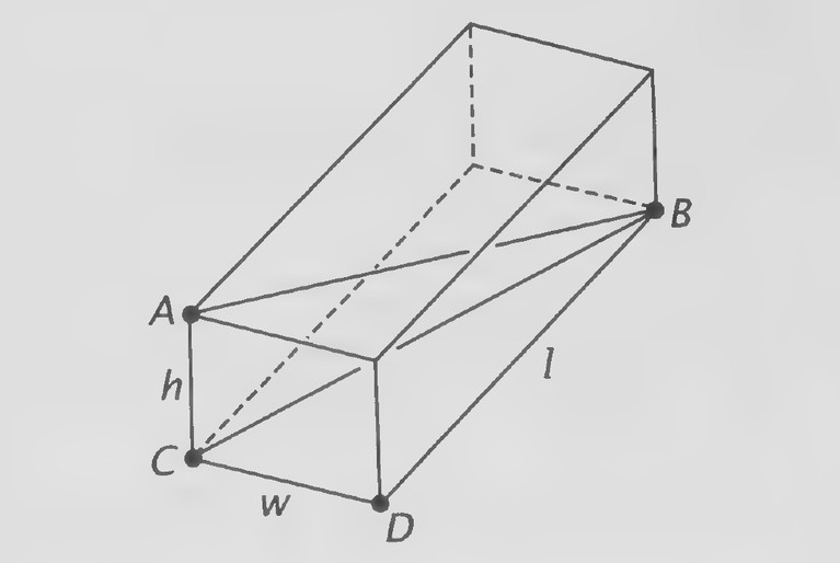Figure on page 395 — A rectangular box with its length, width, height, and space diagonal labelled