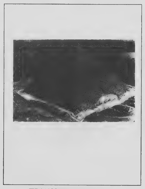 Transparency 15-5-1: Photograph of the Great Pyramid