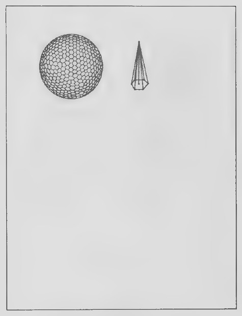 Transparency 15-7-6: The surface area of a sphere