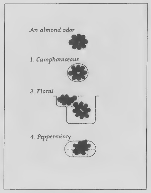 Transparency 15-R-5: Analmond odor