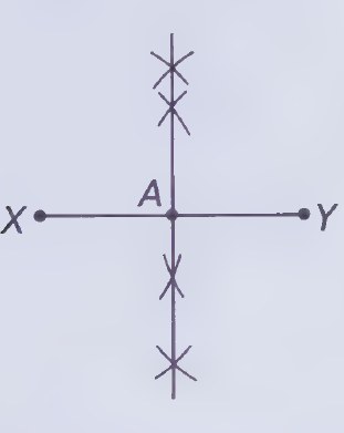 Diagram from page 51