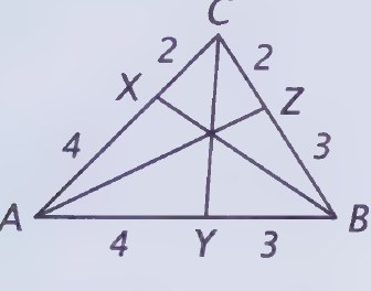 Diagram from page 219