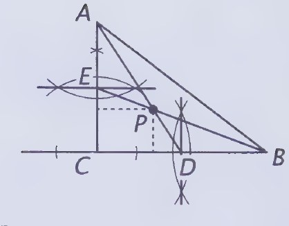 Diagram from page 219
